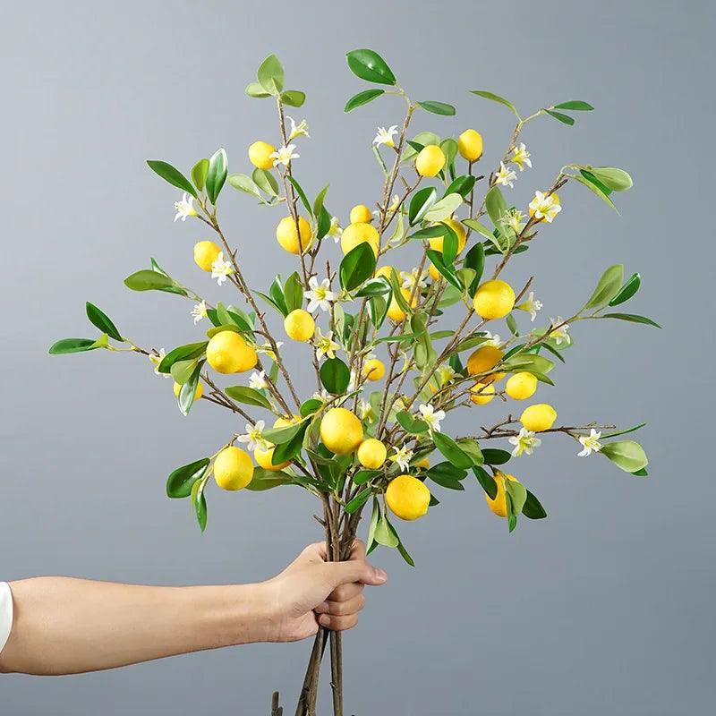 Branche de Citron Jaune avec Fleurs Blanches - Ravisseo