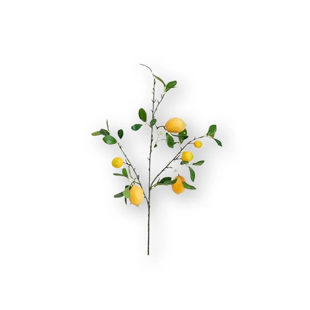 Branche de Citron Jaune avec Fleurs Blanches